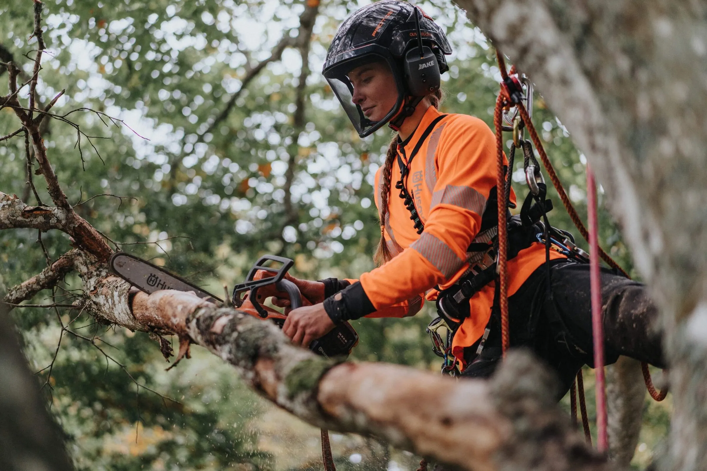 Arborist i klättersele beskär gren med motorsåg hos privatkund i Karlsborg