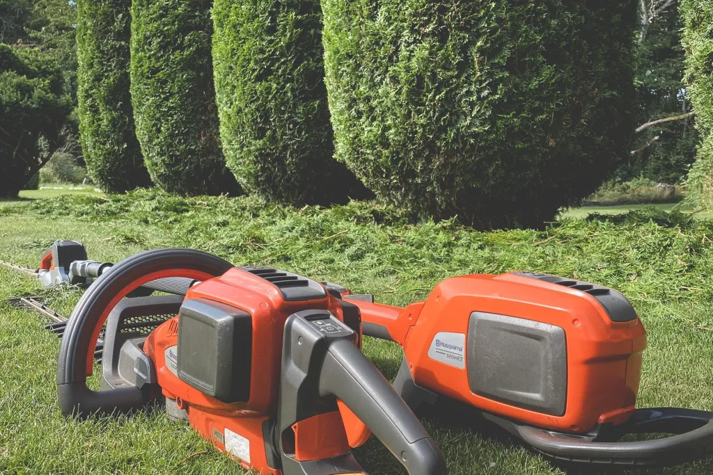Två batteridrivna häcksaxar på gräsmattan framför nyklippta pelarformade barrväxter