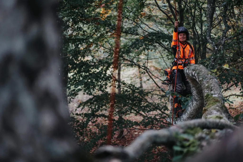Arborist i klättersele på mossig trädstam vid underhållsbeskärning hos privatkund i Karlsborg